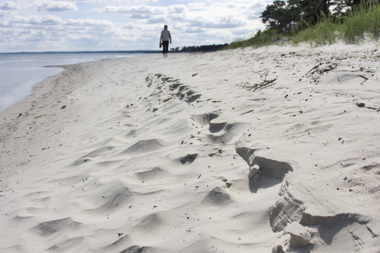 Beach near Gothenburg