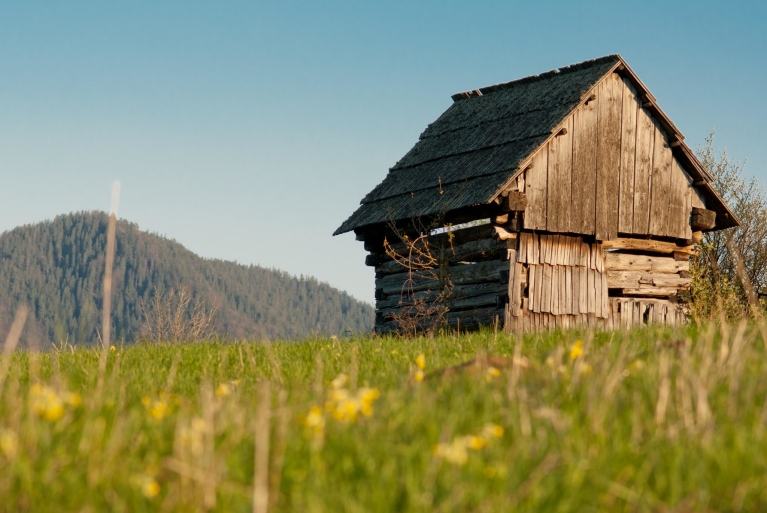 Cottage in Vlkolinec