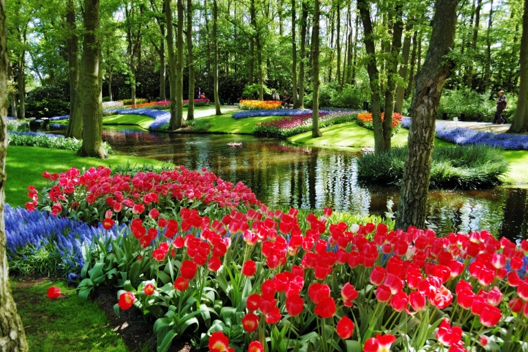     Keukenhof, Lisse, the Netherlands  