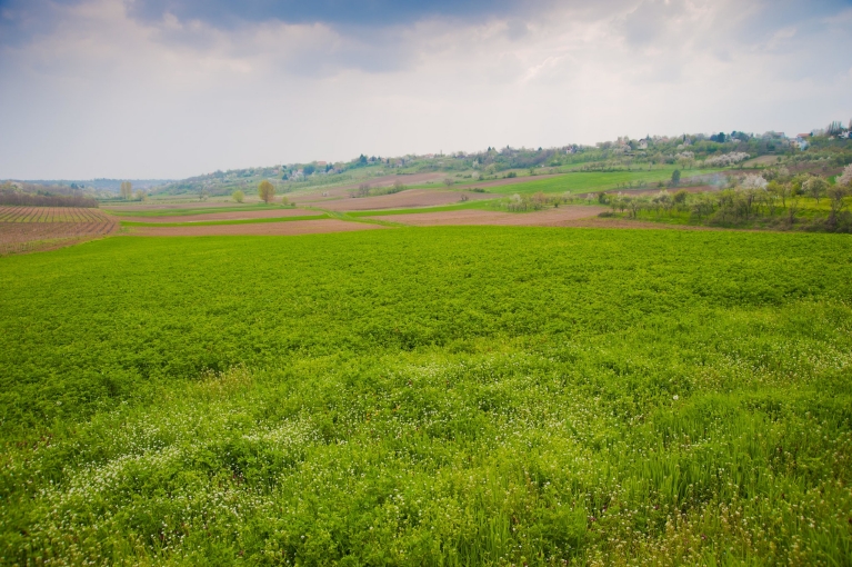     Fruška Gora National Park  