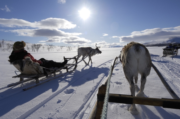 Slitte trainate dalle renne in Finlandia